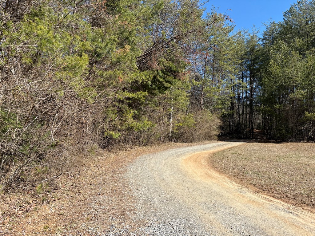 46 Rivers End Way Suches, GA 30572 - Photo 76 of 76