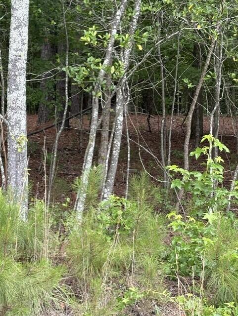 Lot A Cemetery Road Williston, SC 29853 - Photo 2 of 6