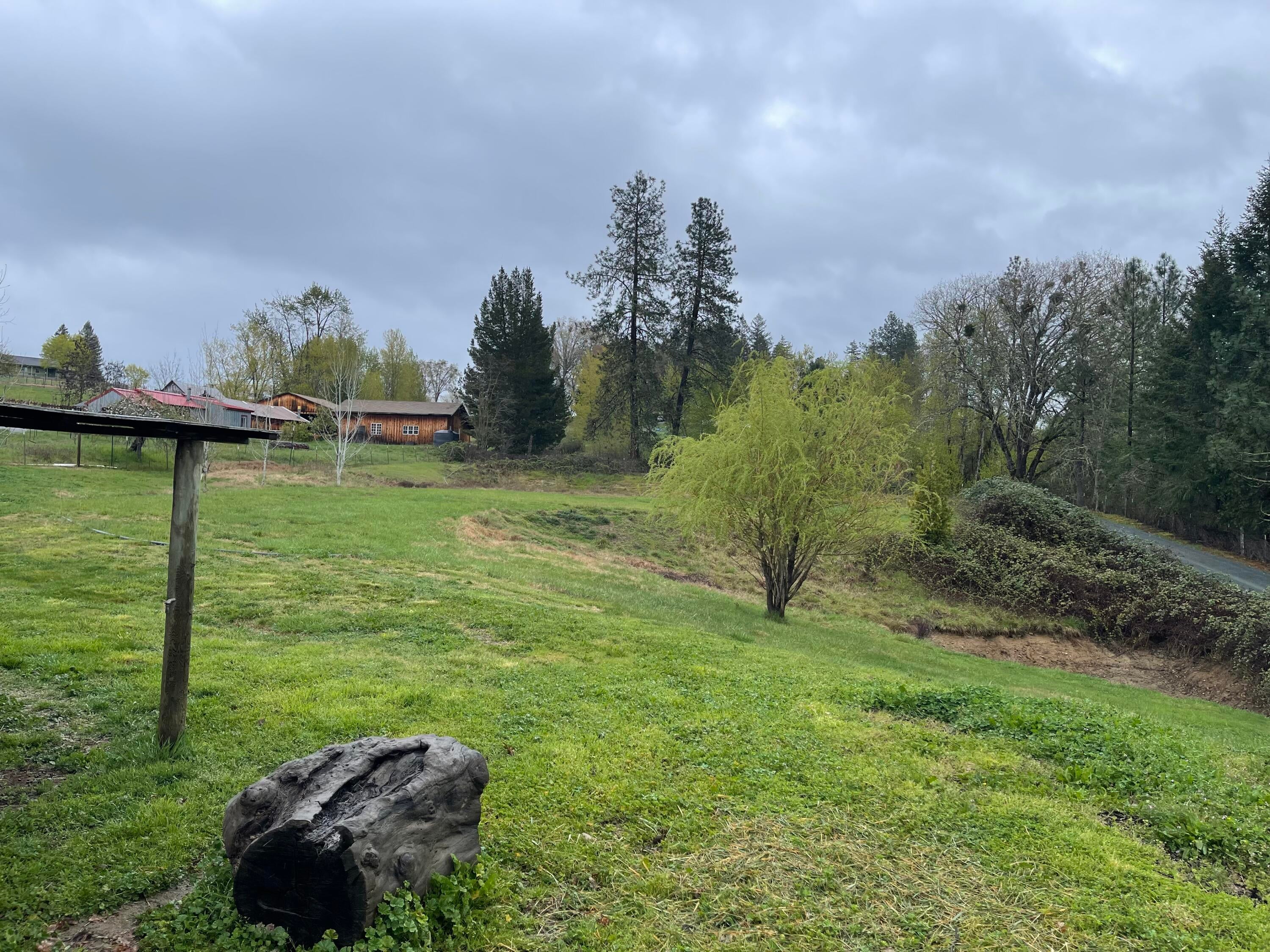 3175 Helms Road Grants Pass, OR 97527 - Photo 15 of 16 IMG_1710