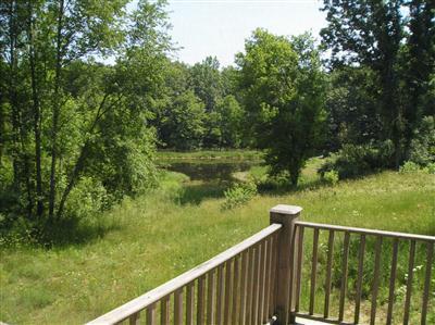 50818 Buckhorn Road Three Rivers, MI 49093 - Photo 3 of 11 Additional Photo
