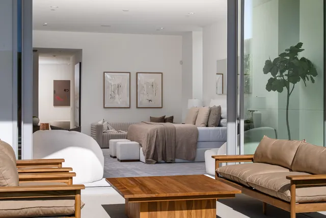 a living room with furniture and a potted plant