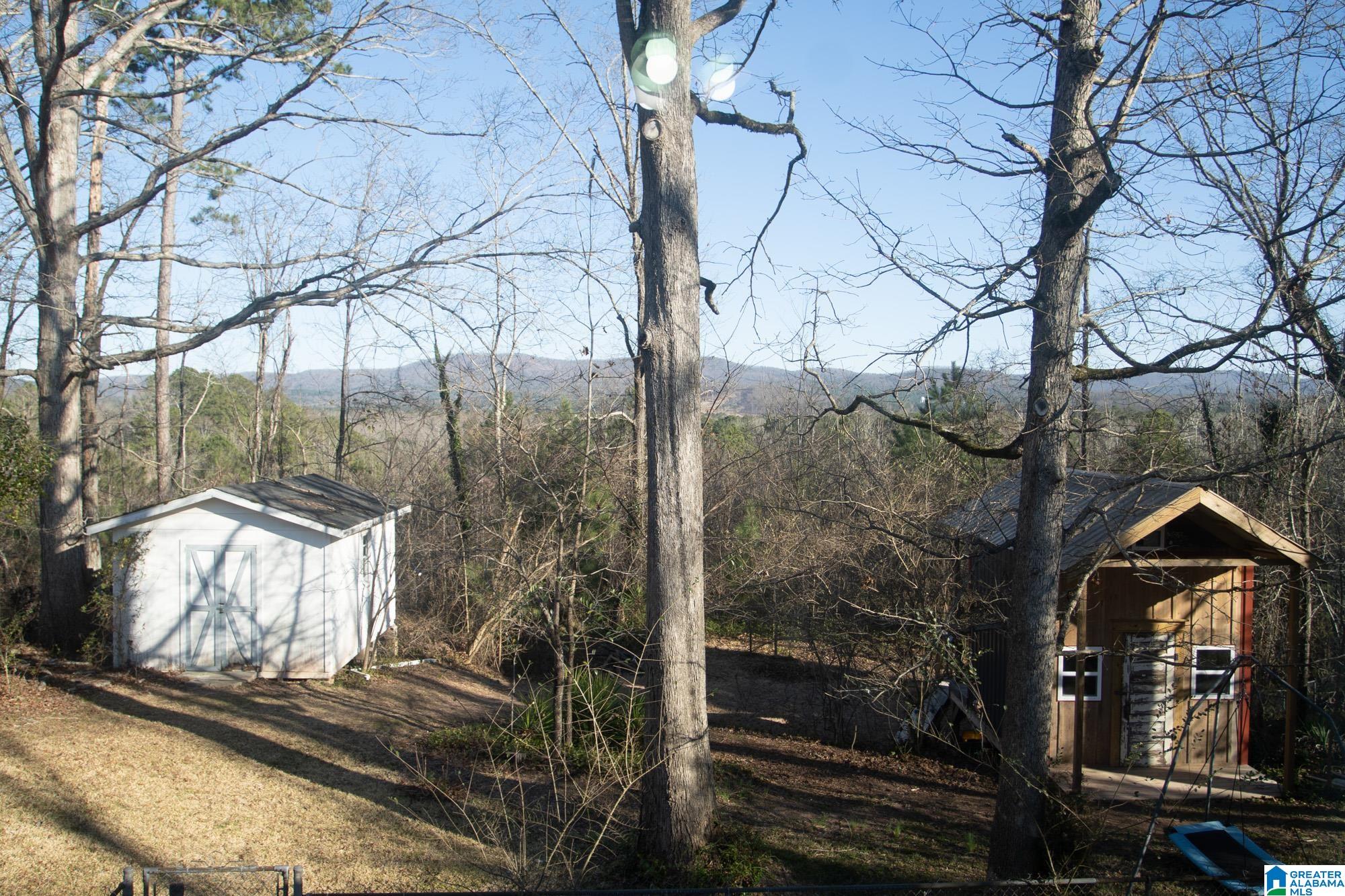 1214 Arklow Road Weaver, AL 36277 - Photo 36 of 42