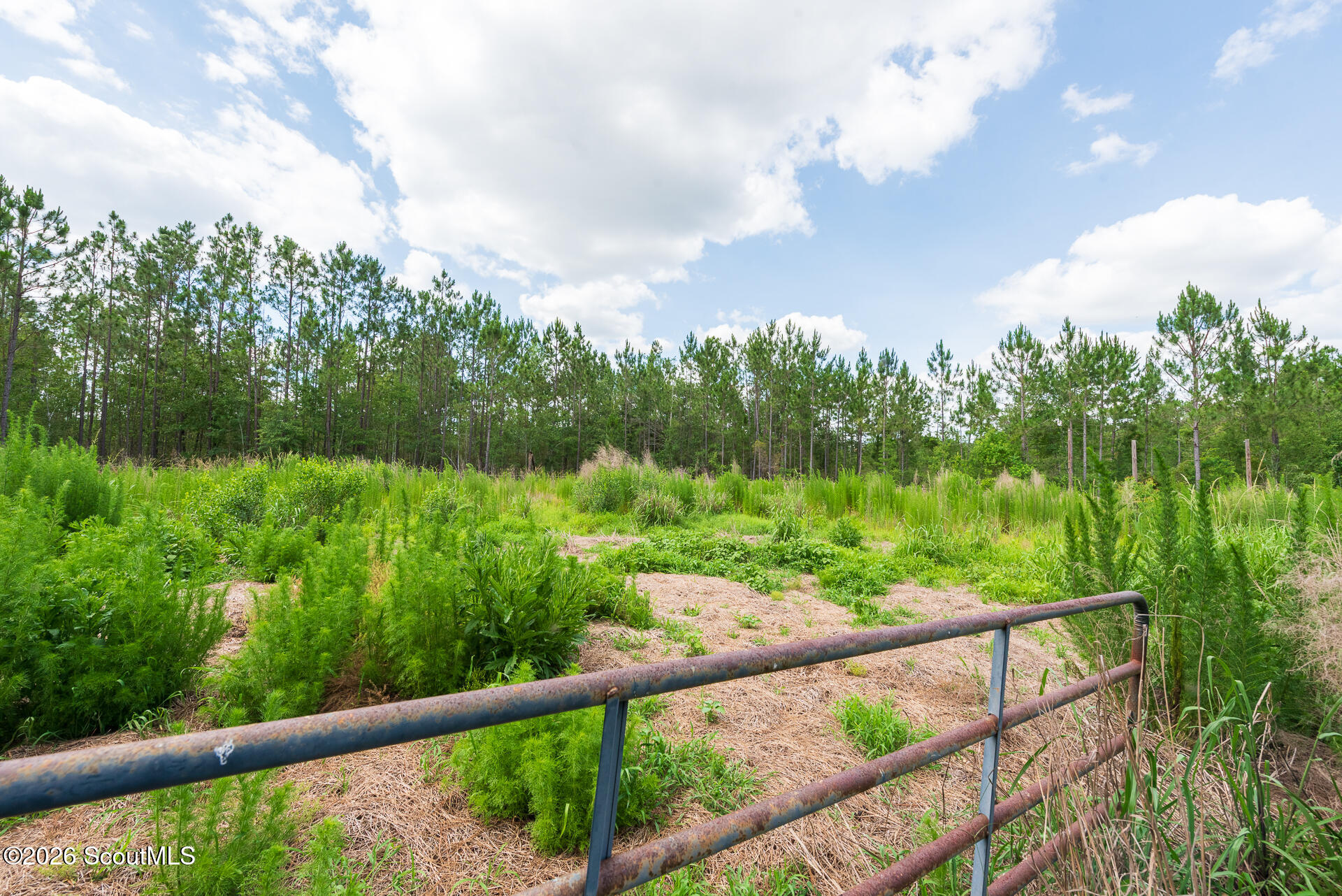 2559 Tabby Rd-237