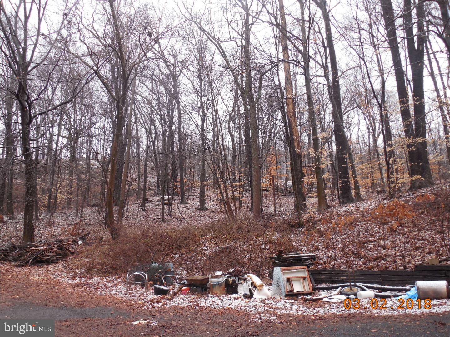 10 Longview Road Boyertown, PA 19512 - Photo 4 of 24 Back Yard