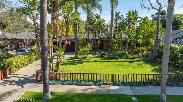 a view of a yard with flower plants