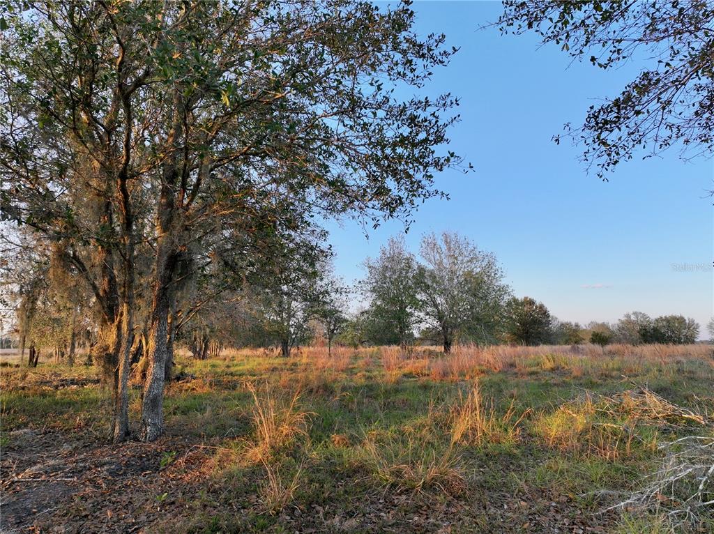 9125 County Line Road Fort Meade, FL 33841 - Photo 11 of 40