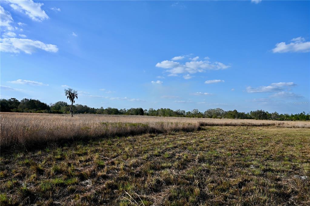 9125 County Line Road Fort Meade, FL 33841 - Photo 13 of 40
