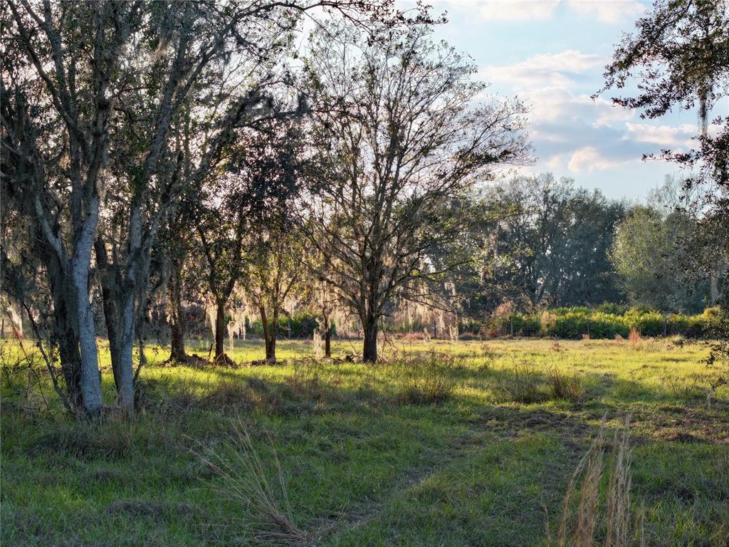 9125 County Line Road Fort Meade, FL 33841 - Photo 14 of 40