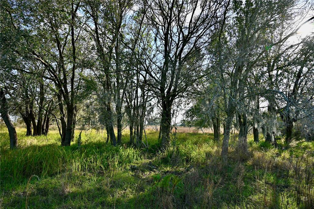 9125 County Line Road Fort Meade, FL 33841 - Photo 16 of 40