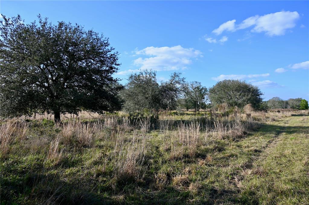 9125 County Line Road Fort Meade, FL 33841 - Photo 17 of 40