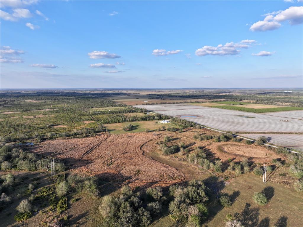 9125 County Line Road Fort Meade, FL 33841 - Photo 18 of 40