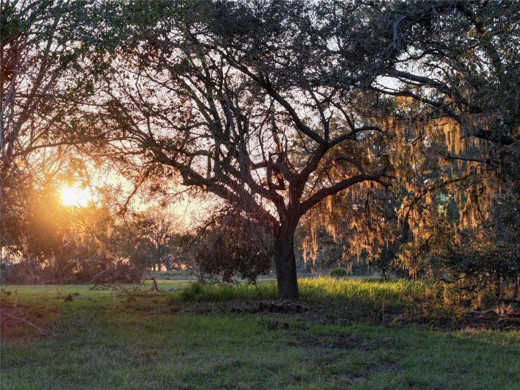 9125 County Line Road Fort Meade, FL 33841 - Photo 19 of 40