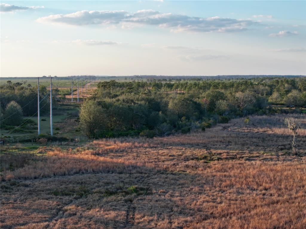 9125 County Line Road Fort Meade, FL 33841 - Photo 20 of 40