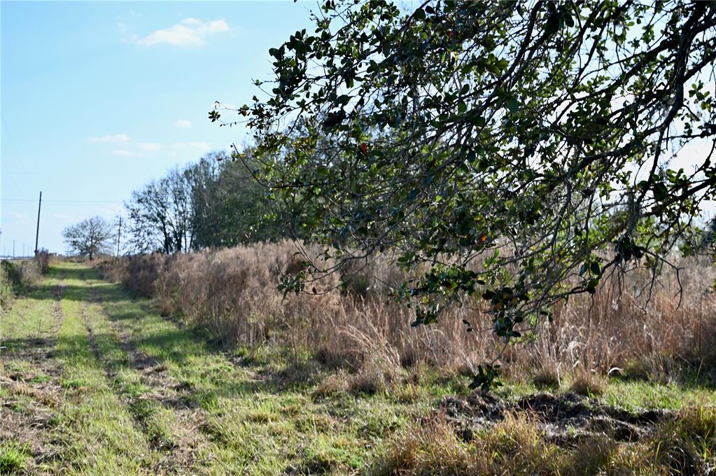 9125 County Line Road Fort Meade, FL 33841 - Photo 26 of 40