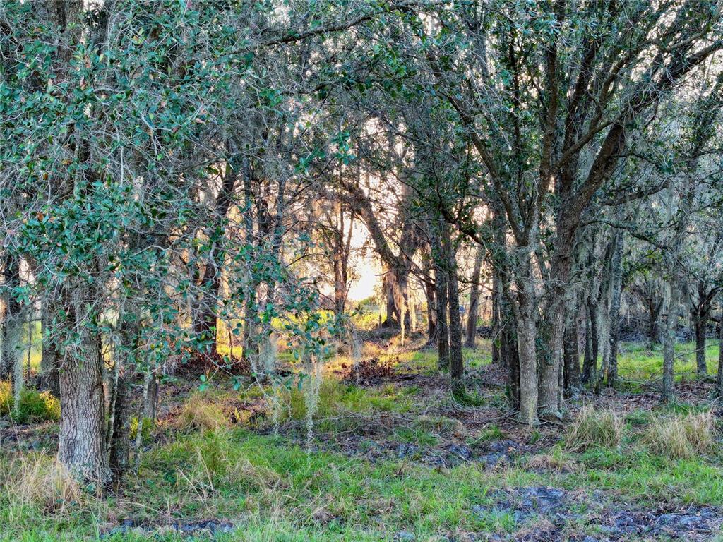 9125 County Line Road Fort Meade, FL 33841 - Photo 27 of 40