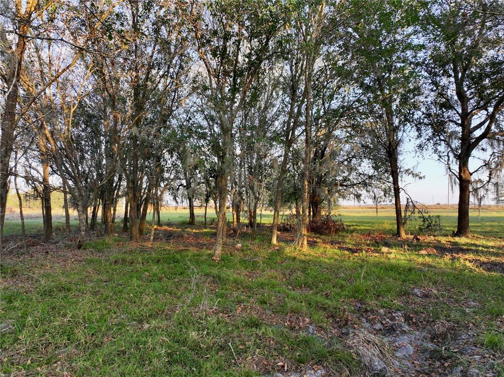 9125 County Line Road Fort Meade, FL 33841 - Photo 29 of 40