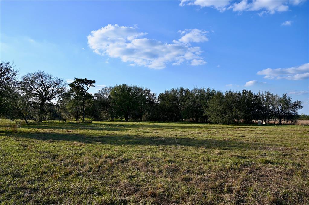 9125 County Line Road Fort Meade, FL 33841 - Photo 30 of 40