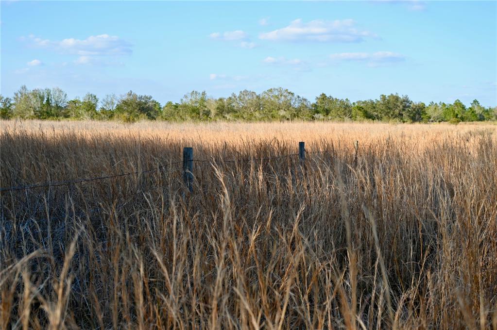 9125 County Line Road Fort Meade, FL 33841 - Photo 33 of 40