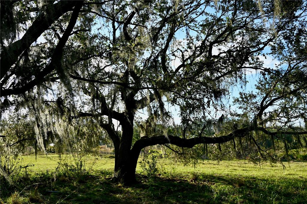 9125 County Line Road Fort Meade, FL 33841 - Photo 34 of 40