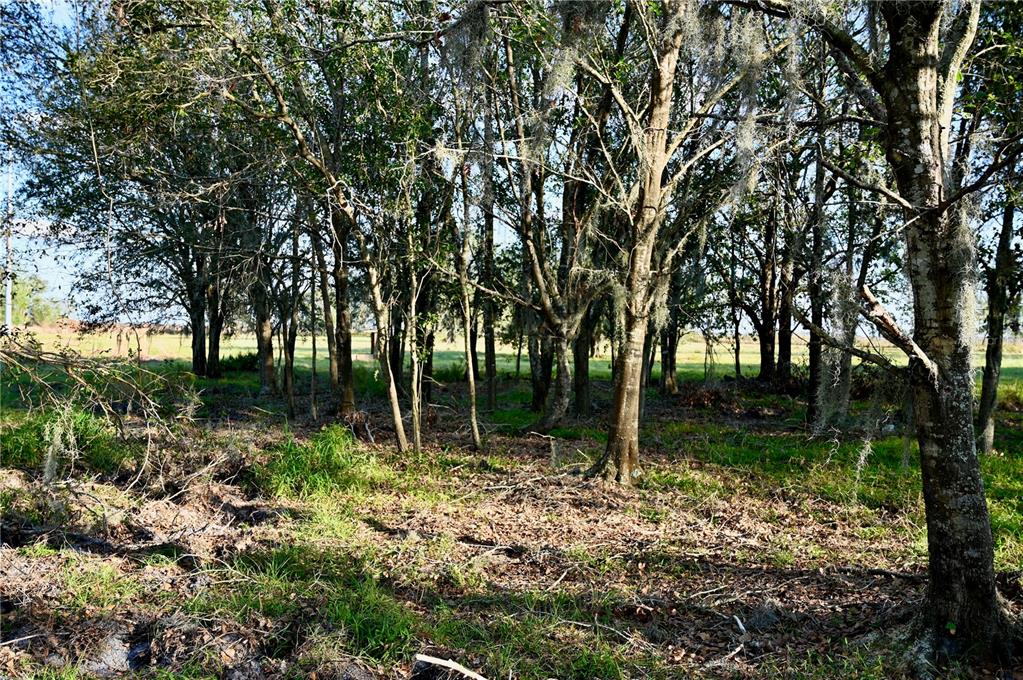 9125 County Line Road Fort Meade, FL 33841 - Photo 38 of 40