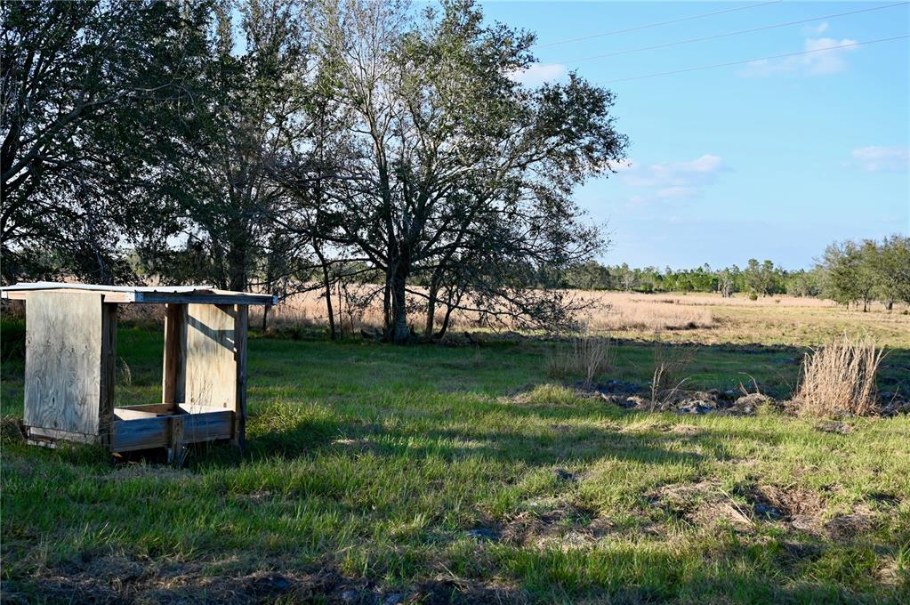 9125 County Line Road Fort Meade, FL 33841 - Photo 4 of 40