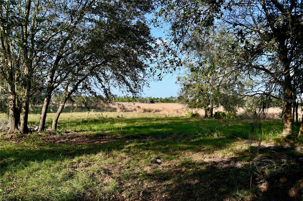 9125 County Line Road Fort Meade, FL 33841 - Photo 6 of 40