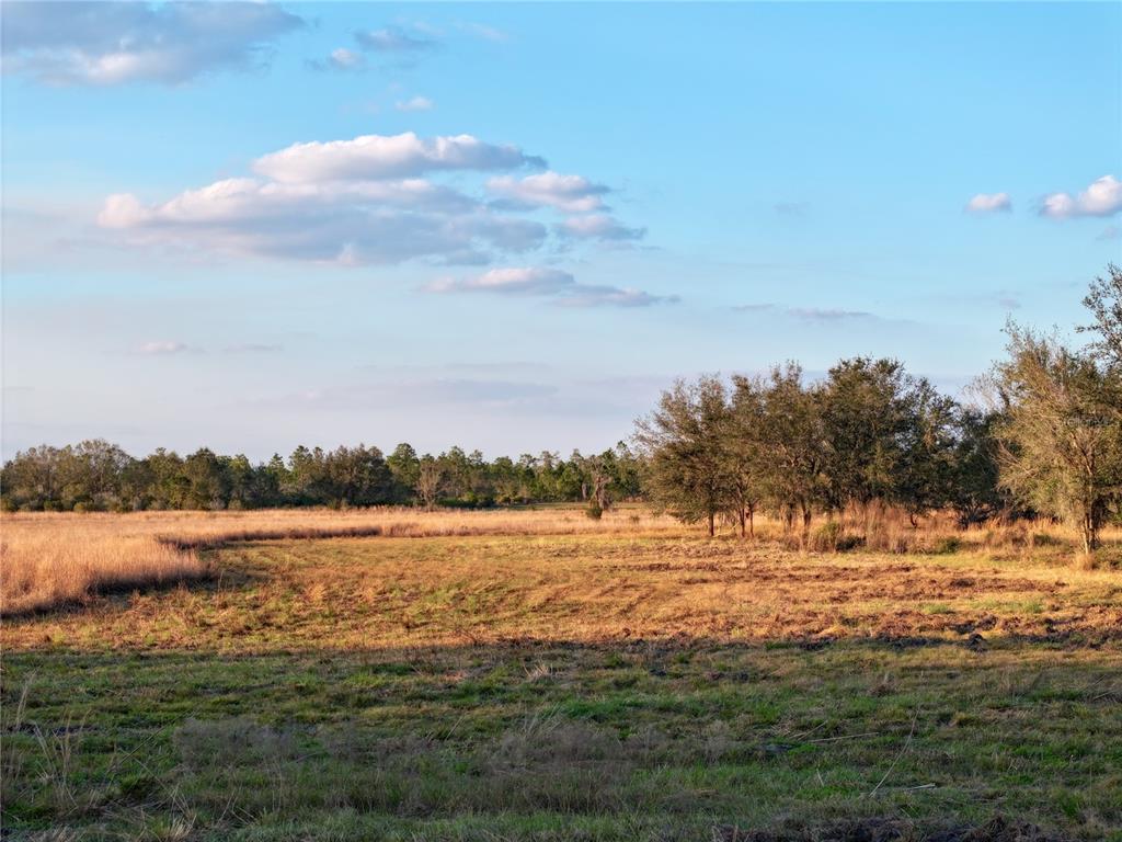 9125 County Line Road Fort Meade, FL 33841 - Photo 7 of 40