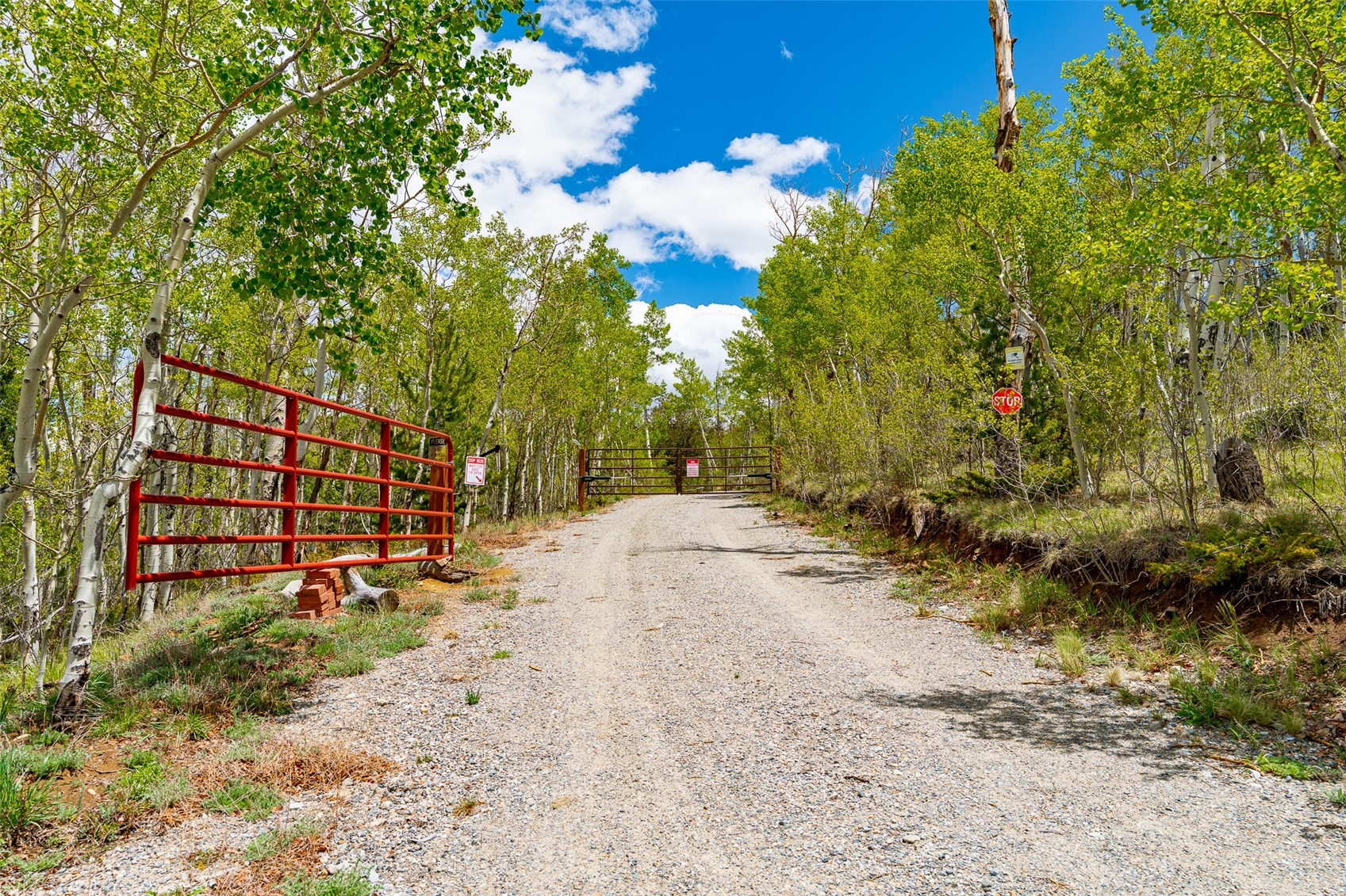 1023 Mexican Ridge Circle Como, CO 80432 - Photo 39 of 50