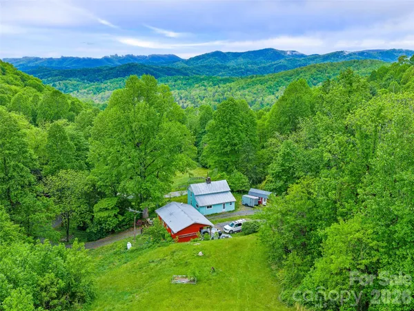 a view of a lush green field with lots of bushes