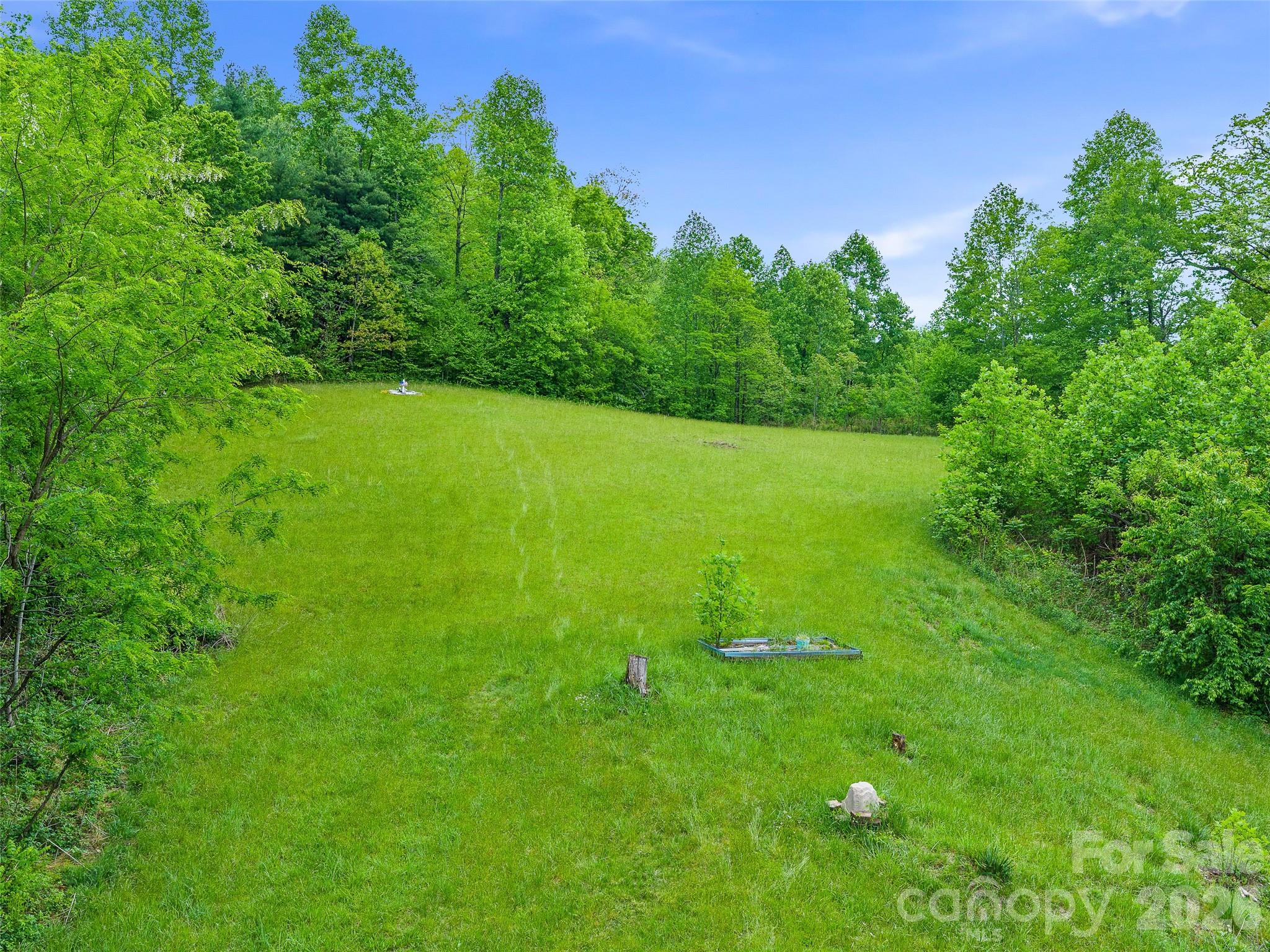 2380 Old Fort Road Black Mountain, NC 28711 - Photo 11 of 27 a view of yard with green space