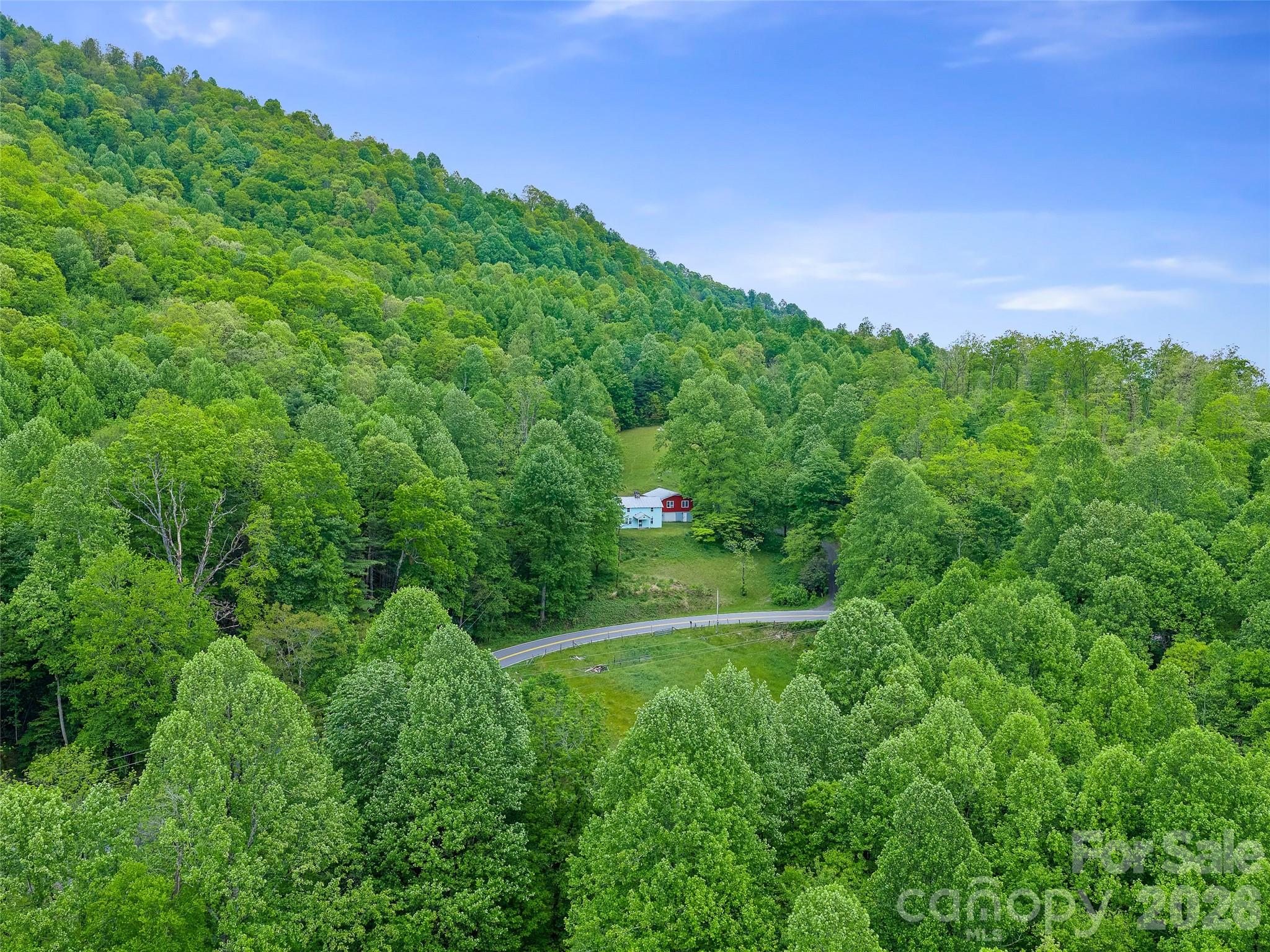 2380 Old Fort Road Black Mountain, NC 28711 - Photo 19 of 27 a view of a lush green space