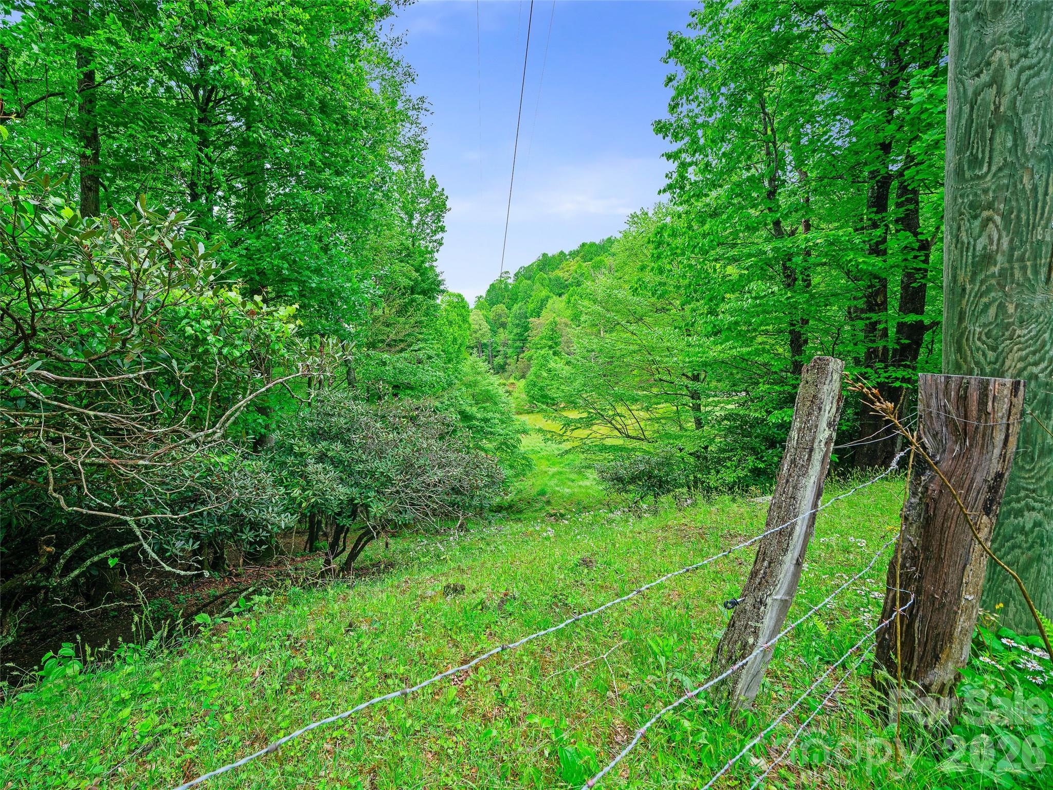 2380 Old Fort Road Black Mountain, NC 28711 - Photo 21 of 27 a view of yard with green space