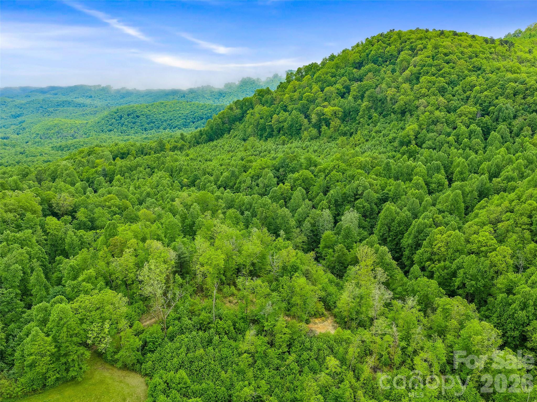 2380 Old Fort Road Black Mountain, NC 28711 - Photo 24 of 27 a view of a lush green space