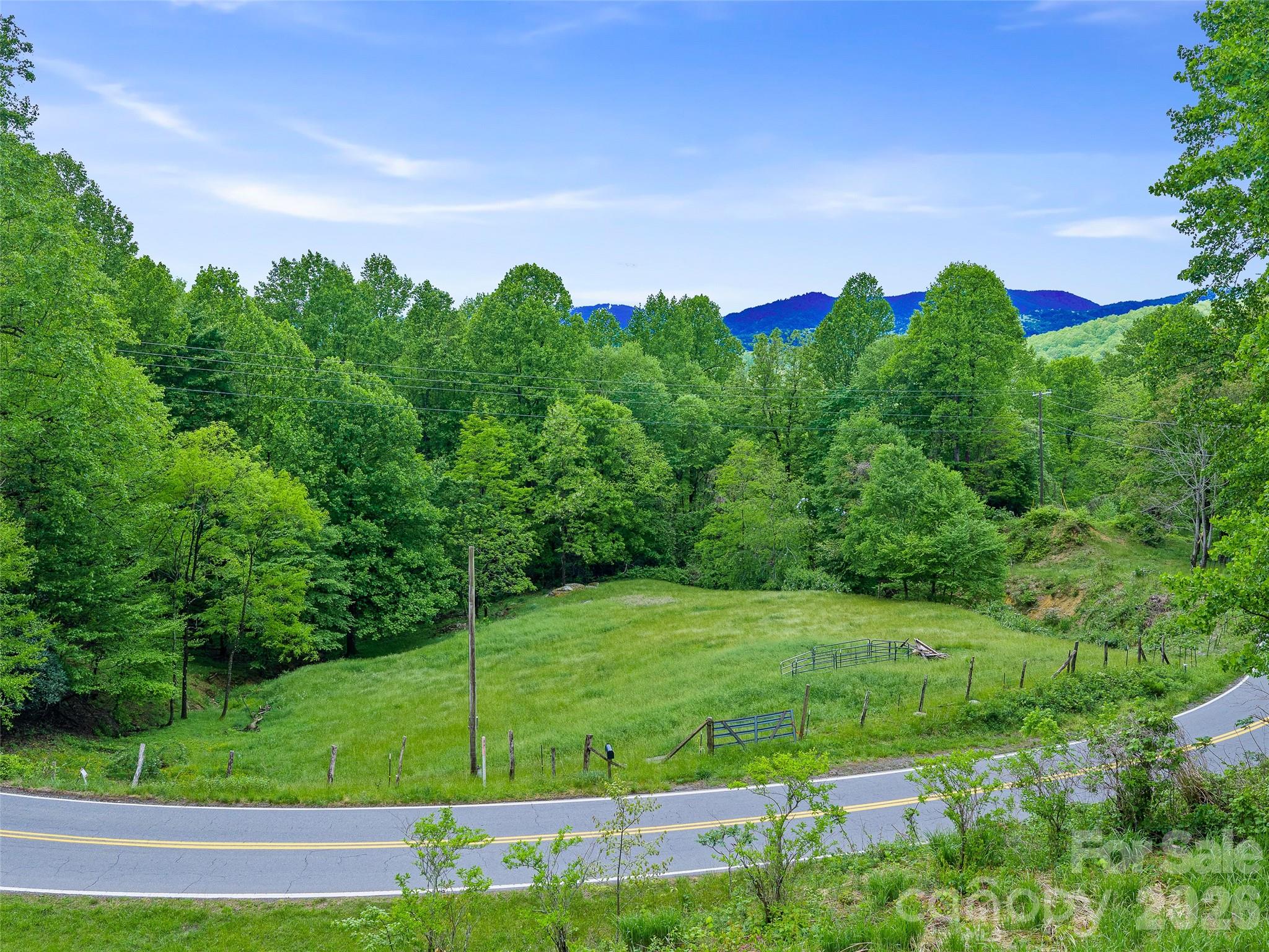 2380 Old Fort Road Black Mountain, NC 28711 - Photo 25 of 27 a view of a big yard with potted plants and large trees