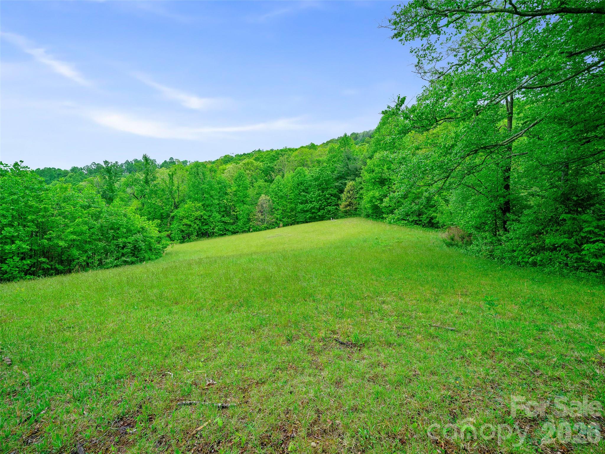 2380 Old Fort Road Black Mountain, NC 28711 - Photo 26 of 27 a backyard of a house with lots of green space