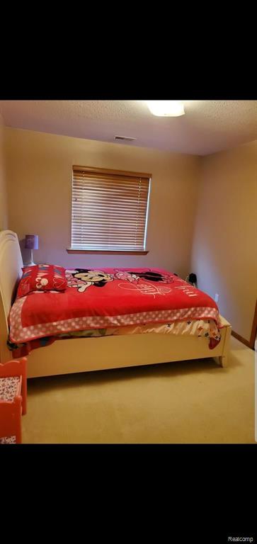 45749 Prairiegrass Court, Unit 4 Belleville, MI 48111 - Photo 14 of 22