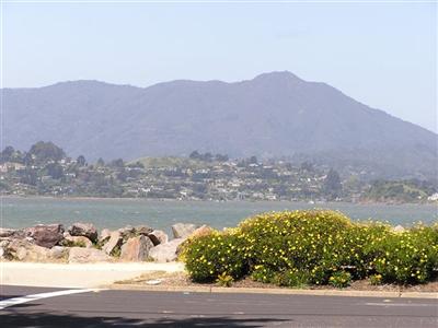 1 Edgewater Road Belvedere, CA 94920 - Photo 4 of 4 Gallery Image 4