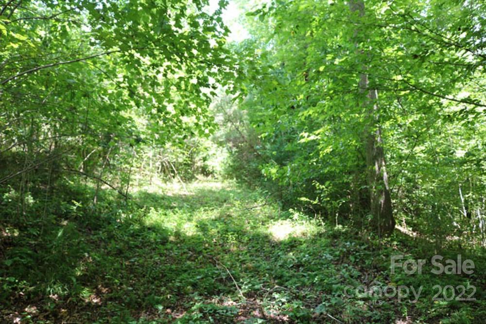 0 Woodstock Lane, Unit 166 Rutherfordton, NC 28139 - Photo 2 of 3 a view of a lush green forest