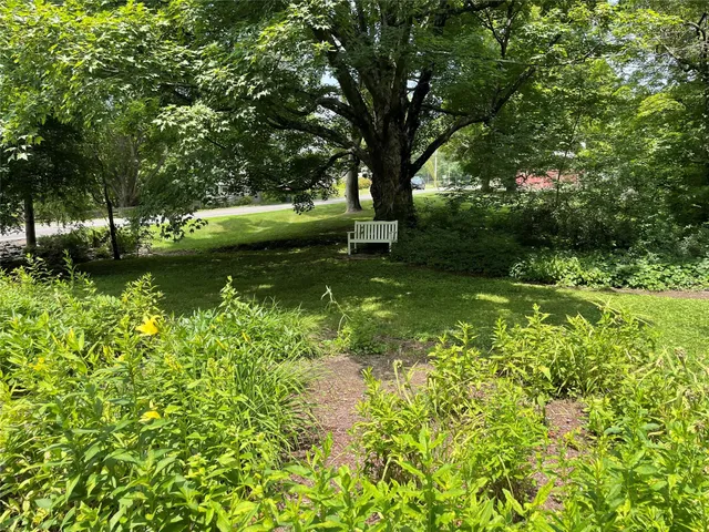 a view of a garden with a tree