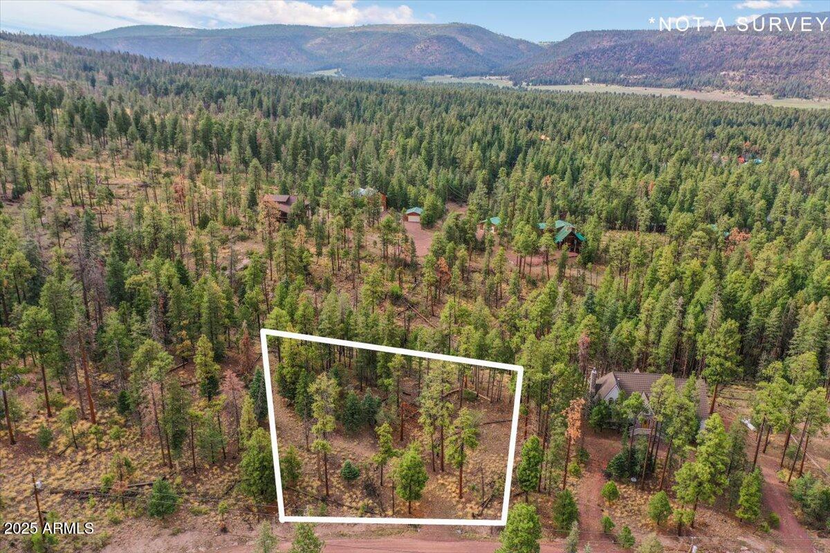 14 County Road, Unit 29 Alpine, AZ 85920 - Photo 4 of 9 a view of a back yard