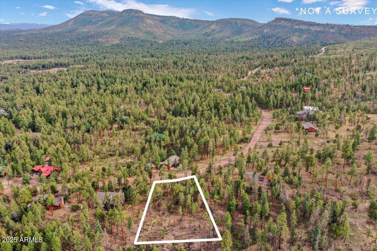 14 County Road, Unit 29 Alpine, AZ 85920 - Photo 7 of 9 a view of outdoor space and mountain view