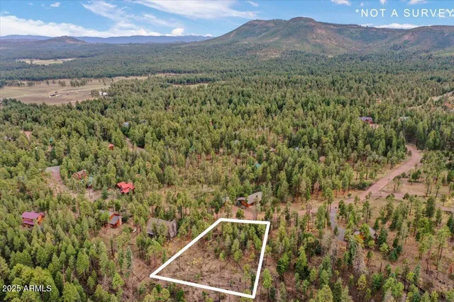 $85,000 | 14 County Road, Unit 29, Alpine, AZ 85920