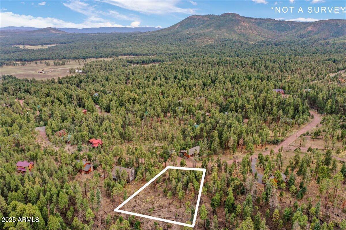 14 County Road, Unit 29 Alpine, AZ 85920 - Photo 8 of 9 a view of a forest with a mountain