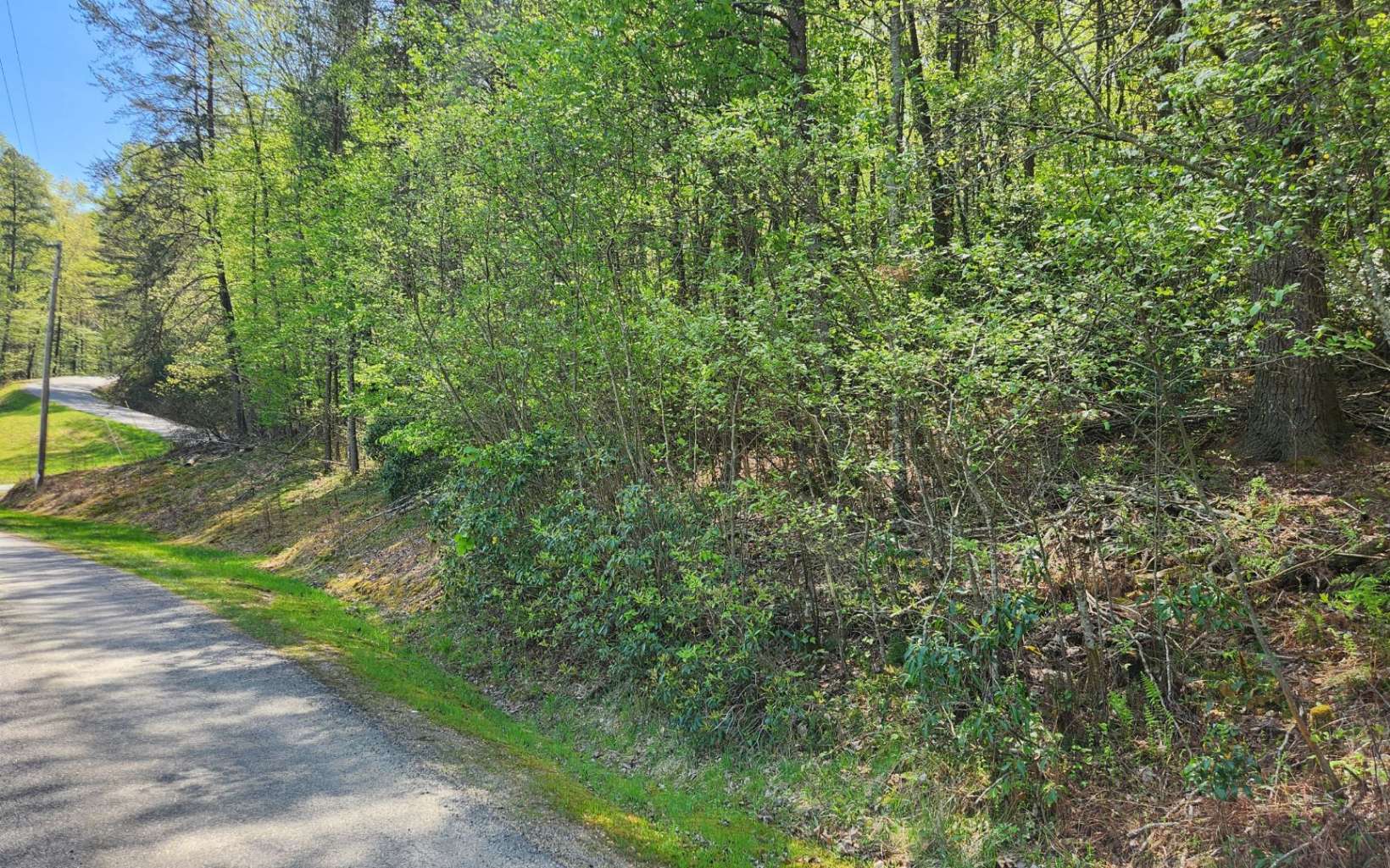 24 Mull Road Morganton, GA 30560 - Photo 18 of 21 Additional View