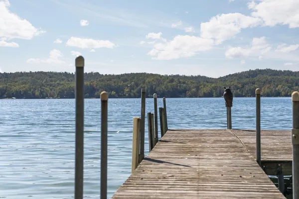 $3,995,000 | 818 Whitfield View, Petoskey, MI 49770