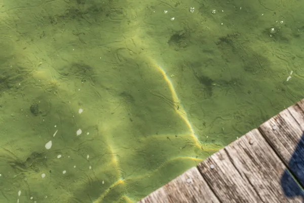 $3,995,000 | 818 Whitfield View, Petoskey, MI 49770