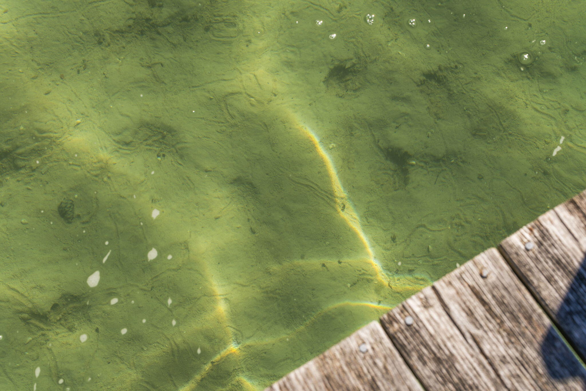 818 Whitfield View Petoskey, MI 49770 - Photo 115 of 186 115-web-or-mls-JEL09360