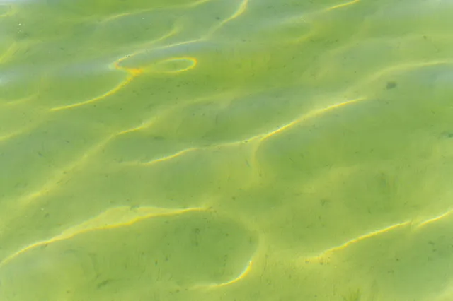 $3,995,000 | 818 Whitfield View, Petoskey, MI 49770