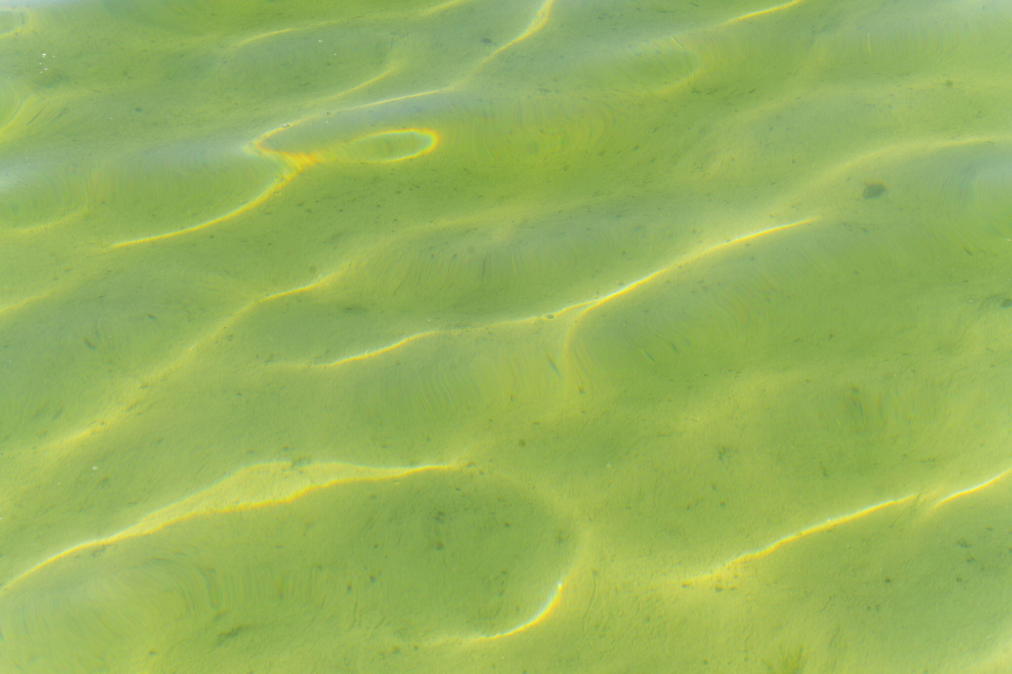 818 Whitfield View Petoskey, MI 49770 - Photo 116 of 186 116-web-or-mls-JEL09361