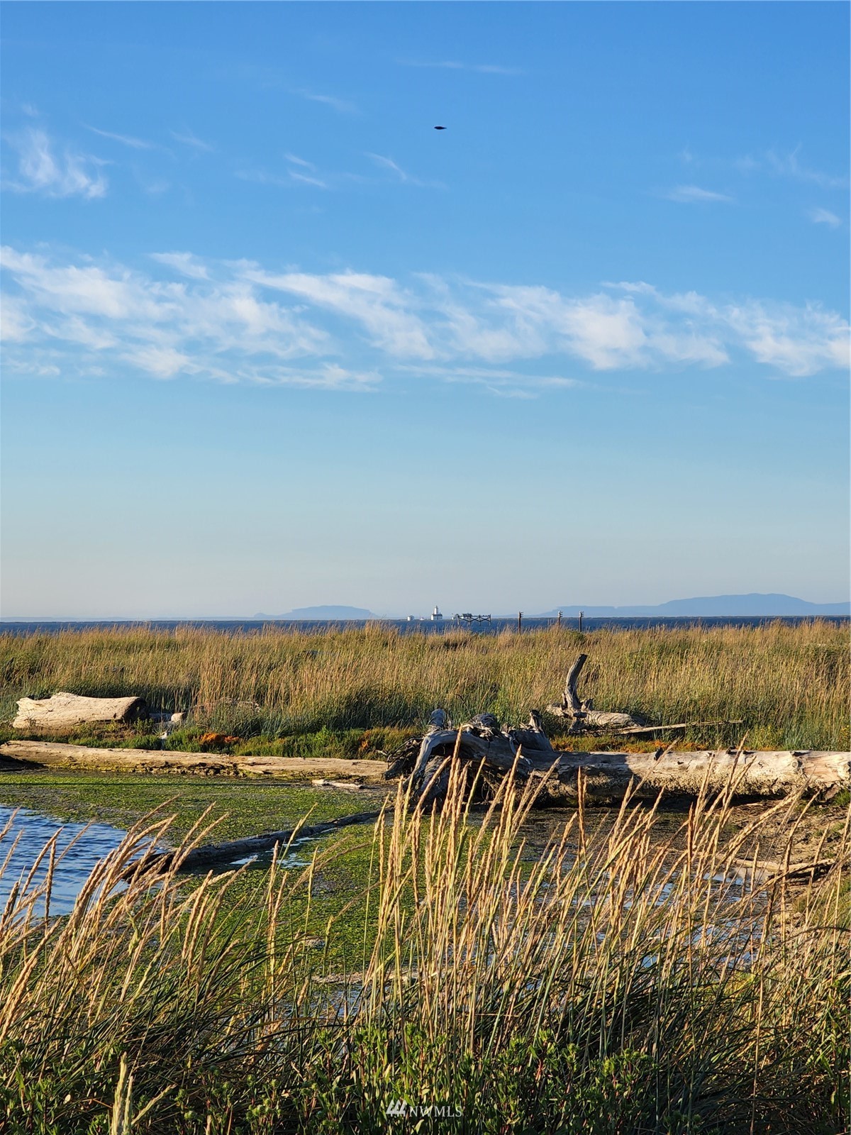3 3 Crabs Road Sequim, WA 98382 - Photo 7 of 11 Gallery Image 7